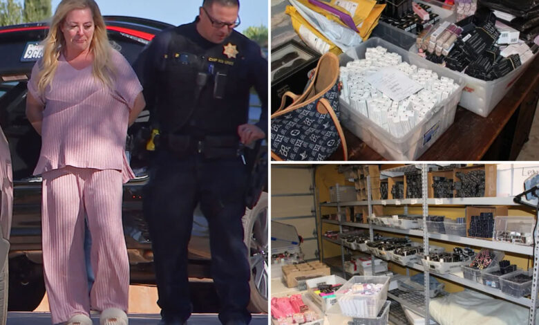 Michelle Mack gets 5 years for $8M organized retail theft ring