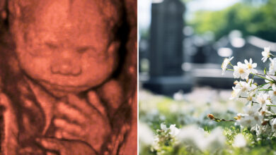 NYC scraps requirement that later-term aborted fetuses be treated as 'human remains'