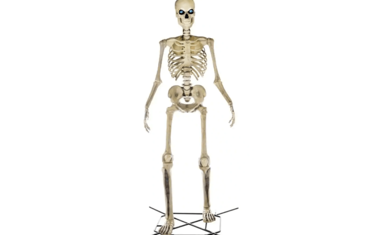 A skeleton