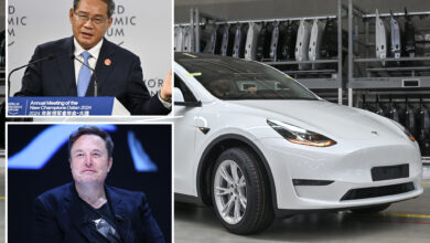 Tesla added to China government's official car purchase list in boost for Elon Musk