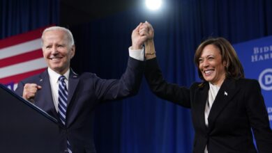 The Biden-Harris plan to wreck the Supreme Court is the REAL threat to America's democratic system