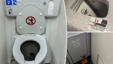 Travelers shocked by secret lever for airplane waste bin