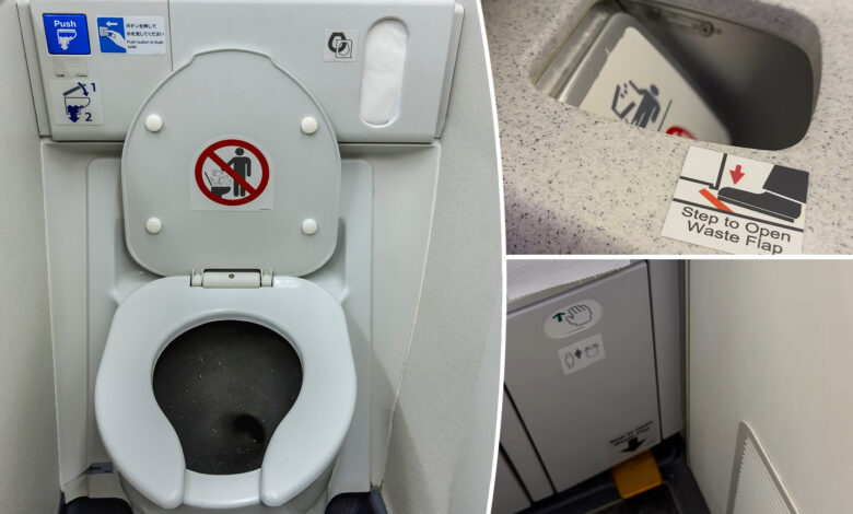 Travelers shocked by secret lever for airplane waste bin