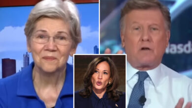 CNBC host slams Warren over defense of price-gouging ban