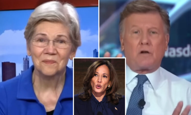 CNBC host slams Warren over defense of price-gouging ban
