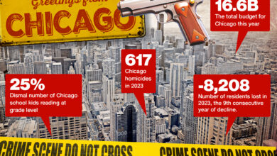 Crime-filled Chicago displays all that's wrong with Democrats in one failing city