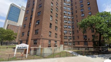 Outside view of the Alfred E Smith houses.