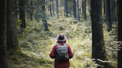 If you see this color painted on a tree in the woods, your life could be in danger — here’s why