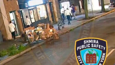 Video released by Shmira Public Safety of Crown Heights shows the attack on Saturday, Aug. 10.