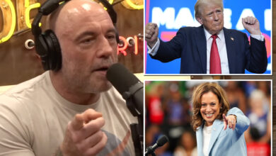 Joe Rogan thinks Kamala Harris can win election over Donald Trump