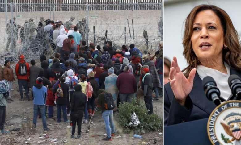 Kamala Harris border