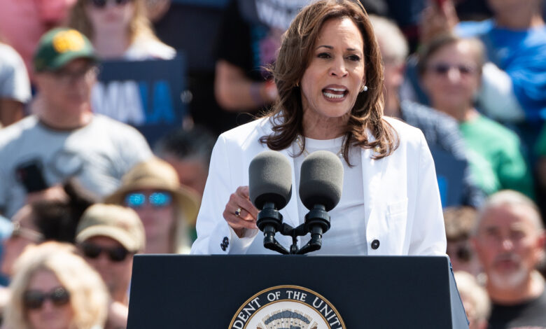 Kamala's price-gouging backtrack is blatant gaslighting