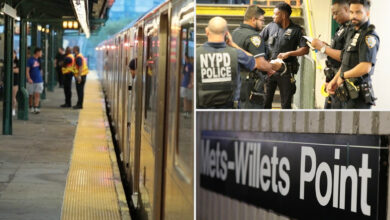 Man fatally struck by train outside Citi Field in apparent suicide: cops