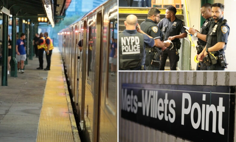 Man fatally struck by train outside Citi Field in apparent suicide: cops