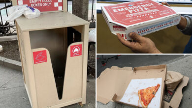 Oh, rats! Pizza-friendly trash bins installed in some NYC parks