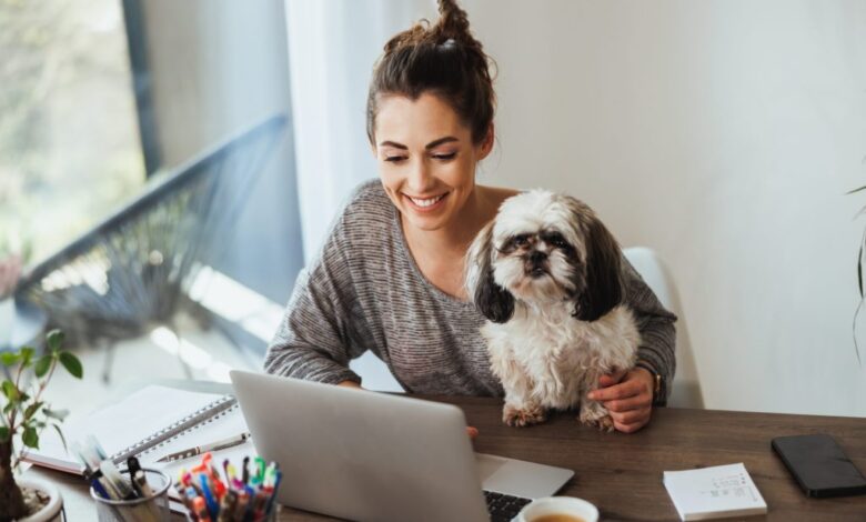 Attractive young female freelancer working on laptop from her home and having her pet dog in her lap to keep her company.