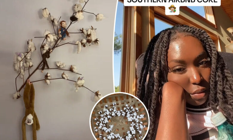 TikTok user gets Airbnb listing banned for racist décor