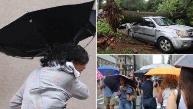 Tropical storm Debby passes through metro area