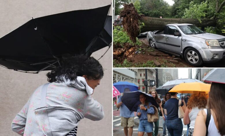 Tropical storm Debby passes through metro area