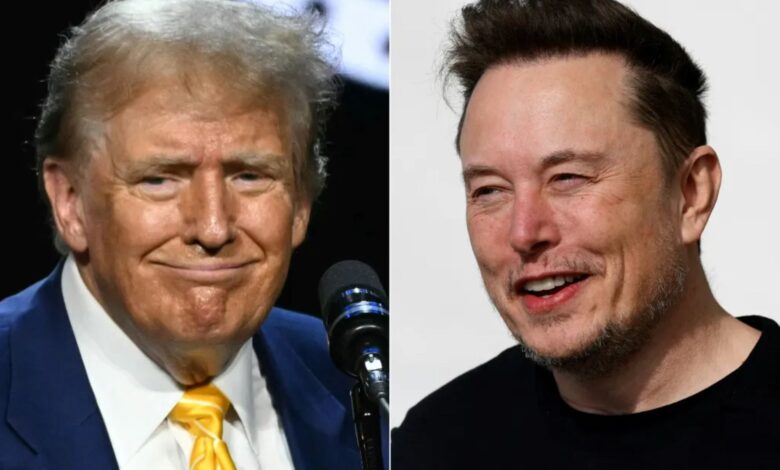 Trump doubts Cabinet role for Elon Musk but says he could 'consult'