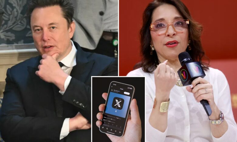 X files antitrust suit against shadowy ad cartel for allegedly coordinating 'illegal boycott'