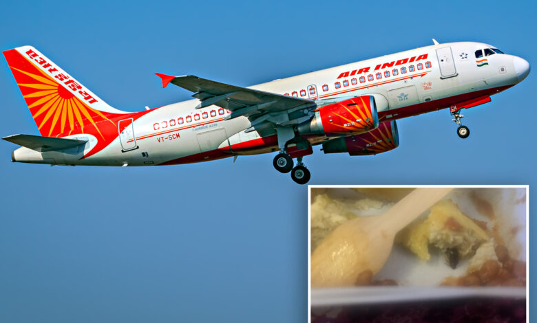 Air India passenger reportedly falls ill after eating cockroach-filled omelet