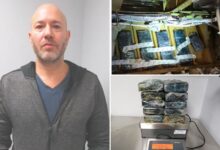 American Airlines ex-mechanic Paul Belloisi gets 9 years prison for smuggling cocaine hidden under cockpit of JFK-bound flight