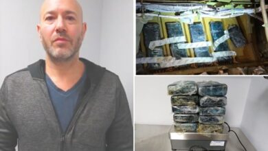 American Airlines ex-mechanic Paul Belloisi gets 9 years prison for smuggling cocaine hidden under cockpit of JFK-bound flight