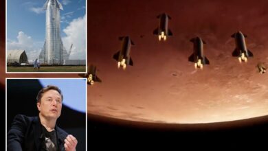 Elon Musk predicts crewed SpaceX flights to Mars by 2028, hopes for 'self-sustaining city'