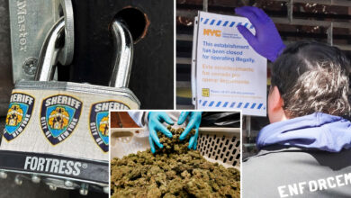 Hundreds of illegal NYC pot shops have dodged millions of dollars in fines: council report