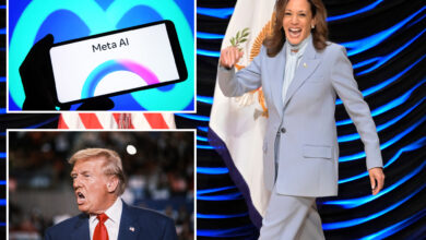 Meta AI chatbot praises Kamala Harris for her 'trailblazing leadership' -- but warns critics have called Trump 'crude and lazy'