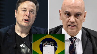 Outrage spreads after Elon Musk's X platform is suspended in Brazil