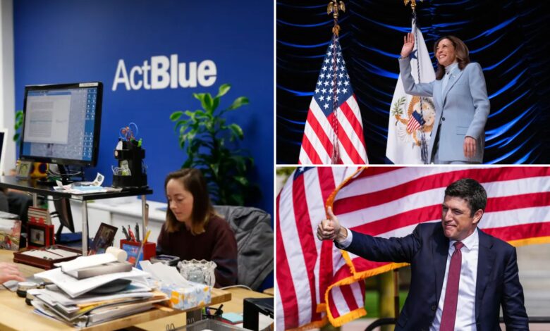 Potential ActBlue criminal charges once again reveal the Dems' fraud campaign