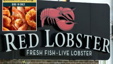 Red Lobster to exit Chapter 11 soon after judge approves sale to new owner