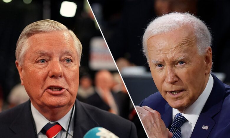 Lindsey Graham, Joe Biden