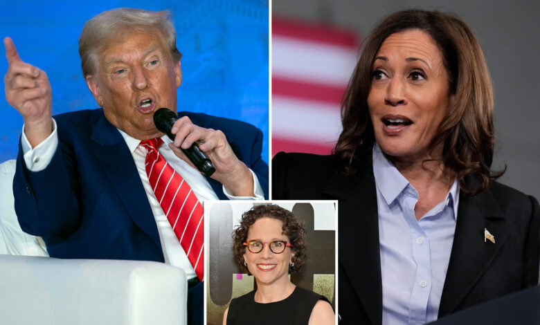 Trump campaign blasts Kamala Harris' ties to Google lawyer Karen Dunn