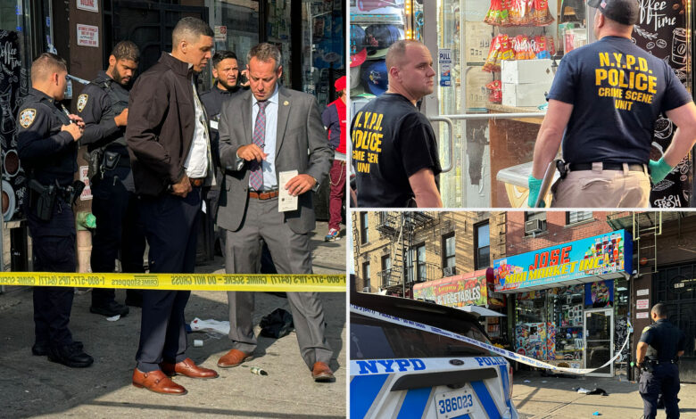 29-year-old mother stabbed to death inside NYC deli during broad-daylight feud