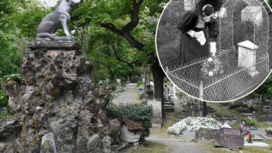 A century of the world's best pet cemeteries