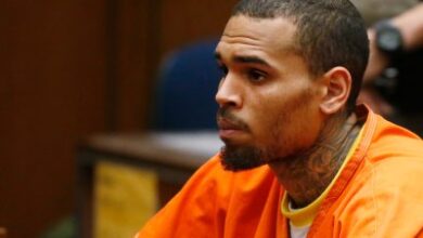 Allegations Made Against Chris Brown in History of Violence Doc