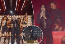 Cher brought down the house at Victoria's Secret Fashion Show 2024