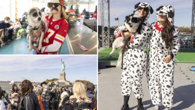 Circle Lines hosts third annual Halloween Pup Cruise on the Hudson River