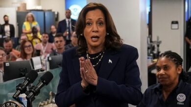 Fake border hawk Kamala Harris' faux enforcement excuses