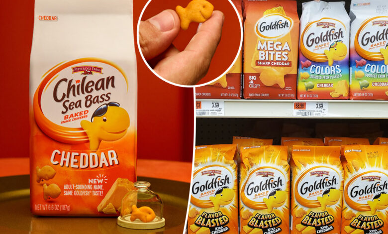 Goldfish is changing its iconic name to be 'more adult'