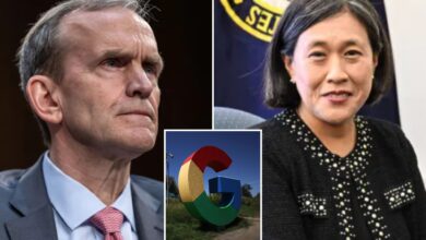 Google emails with US trade reps reveal cozy ties as tech giant pushed to 'hijack policy'