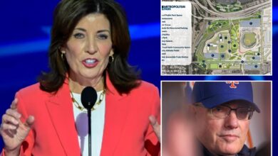 Gov. Kathy Hochul now says she won't aid Steve Cohen's troubled casino bid