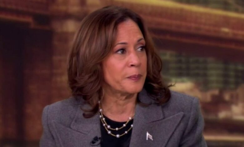 Kamala Harris The View