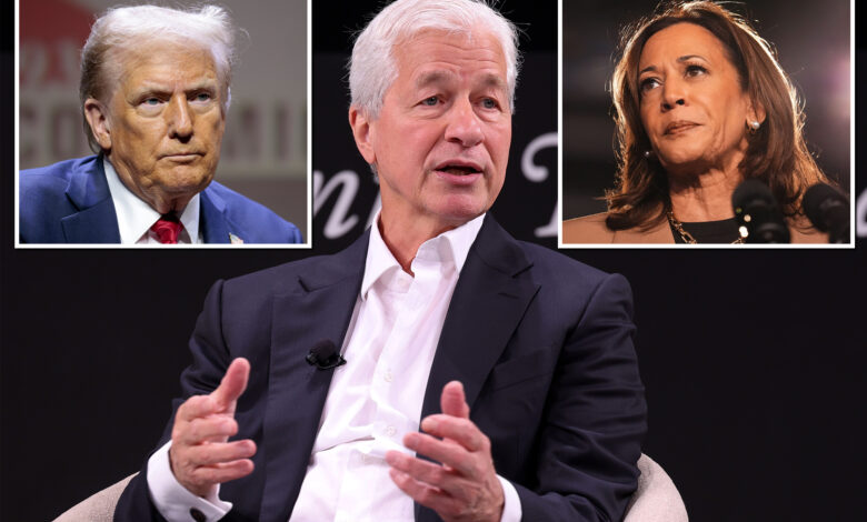 Jamie Dimon dishes on possibility of taking US government post