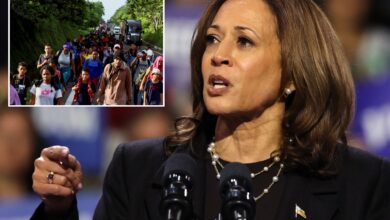 Kamala Harris' past proposals show her true intentions with ICE and the border