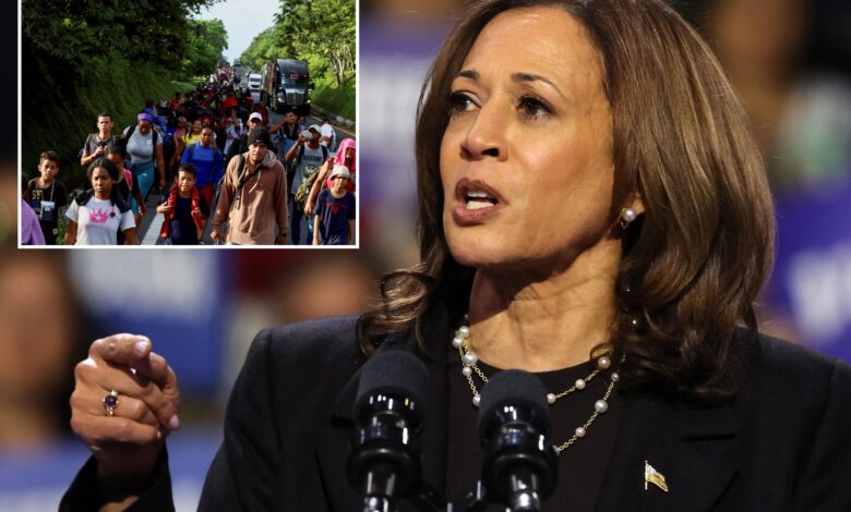 Kamala Harris' past proposals show her true intentions with ICE and the border