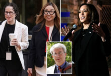 Karen Dunn, other Google lawyers host Kamala Harris fundraiser in middle of DOJ antitrust war